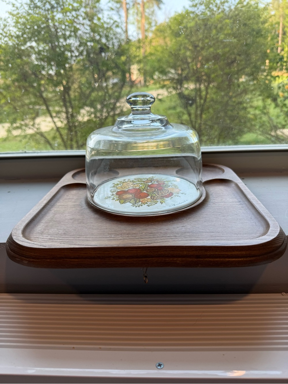 Goodwood Vintage Cheese and cracker board with glass dome and Wood base.